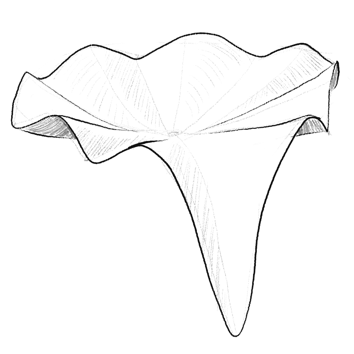Drawing of an "octopus saddle" (looks like a wavy cloth skirt)