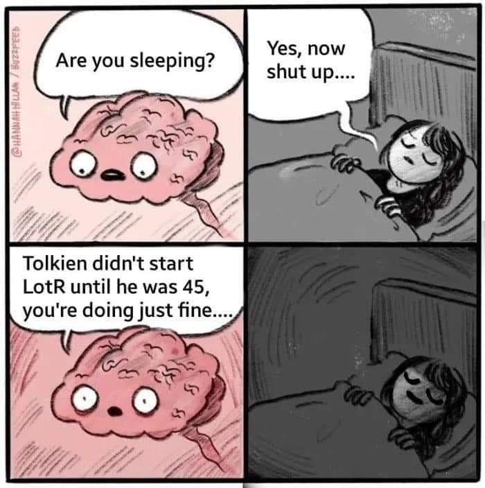 Comic. Brain asks: are you sleeping? Woman says, "Yes now shut up. Brain: "Tolkien didn't start Lord of the Rings until he was 45, you're doing just fine..." Woman: (smiles as she falls asleep)