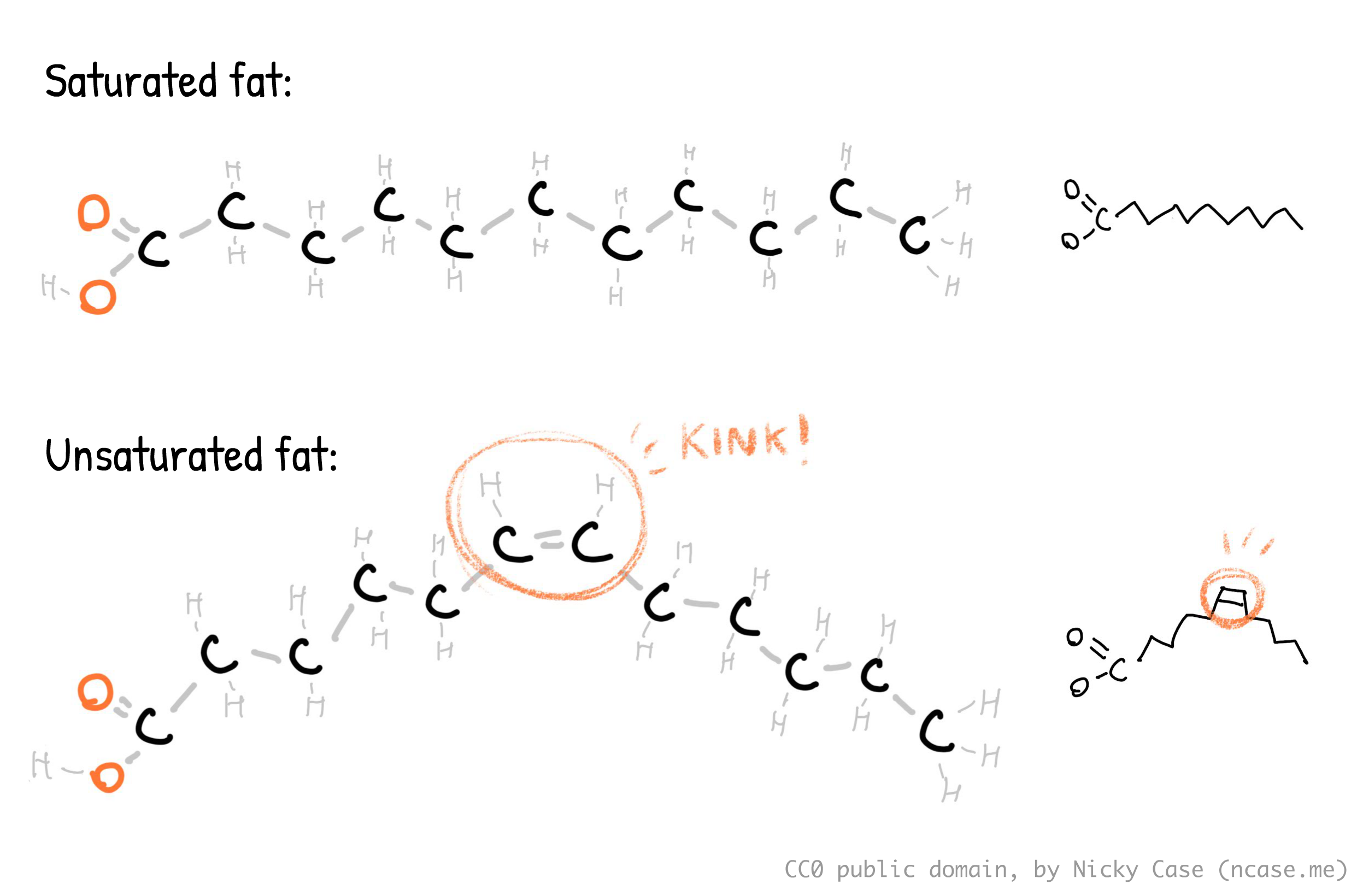 Diagram of saturated vs unsaturated fatty acid, details in main text. Diagram of saturated vs unsaturated fatty acid, details in main text.