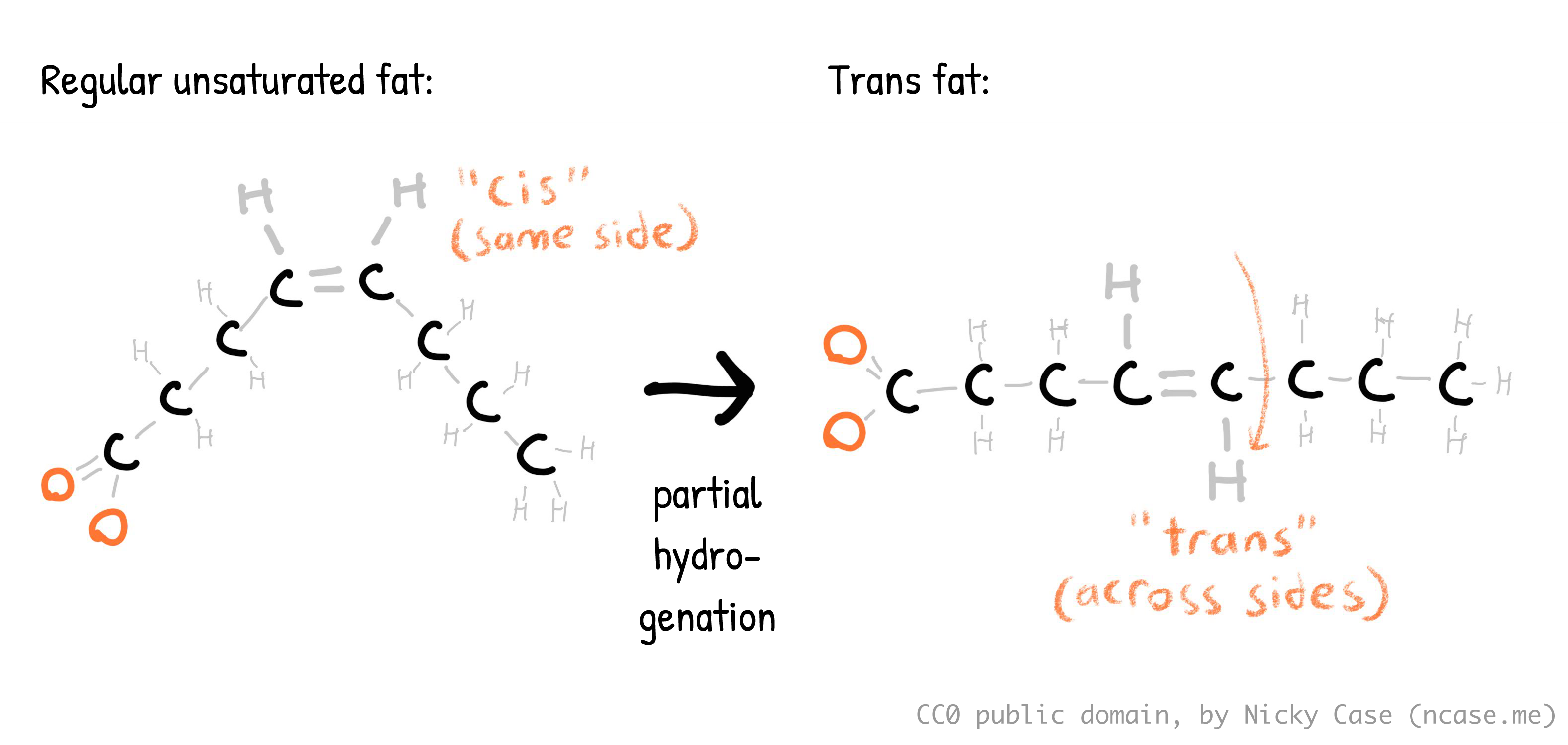 Diagram of how a 'cis' saturated fat becomes a 'trans' fat, details in main text. Diagram of how a 'cis' saturated fat becomes a 'trans' fat, details in main text.