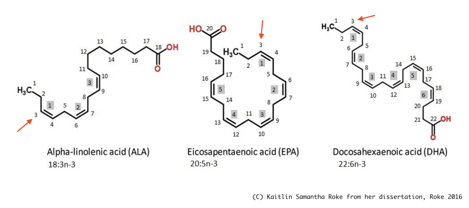 Diagram of ELA, DHA, & ALA; details in main text. Diagram of ELA, DHA, & ALA; details in main text.